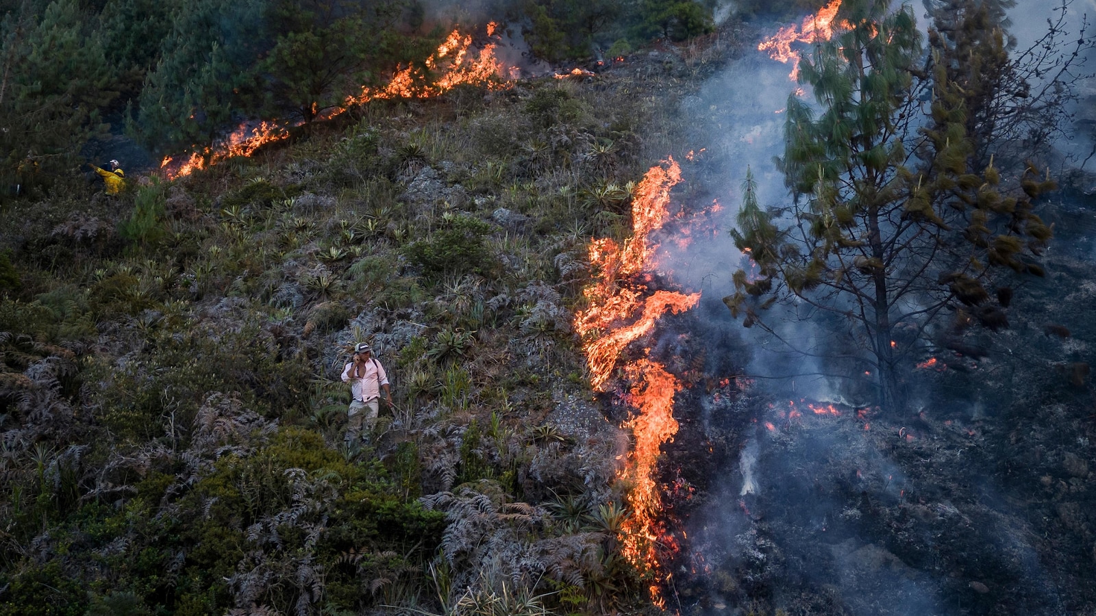 How climate change contributes to wildfires like Chile's